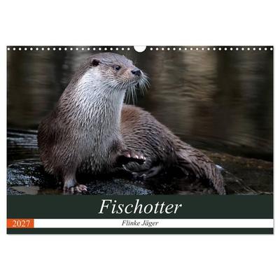 Fischotter, flinke Jäger (Wandkalender 2027 DIN A3 quer), CALVENDO Monatskalender