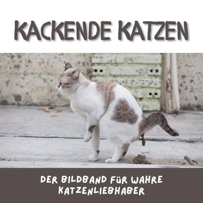 Kackende Katzen, Taschenbuch von Tim Fröhlich, 27amigos, 978-3-7505-0636-7