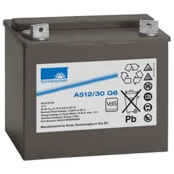  Sonnenschein A512/30 G6 VdS 12V 30Ah dryfit Blei-Gel-Akku 