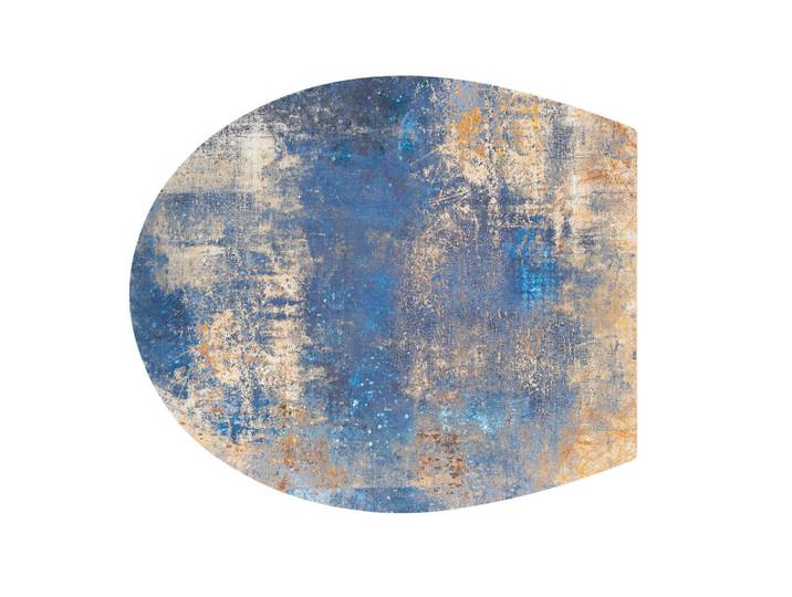 Sadena Wc-Sitz, Mehrfarbig, Kunststoff, 38x5.3x44.6 cm, Deckel mit Absenkautomatik, passend für alle handelsüblichen WCs, Badezimmer, WC Ausstattung, WC Sitze