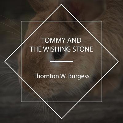 Tommy and the Wishing Stone - Thornton W. Burgess, Audio, 4067248930113