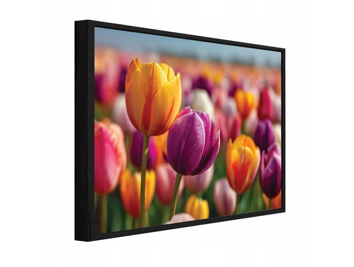 BILDER mit Rahmen Blumen Tulpen Bunt 120x80 cm