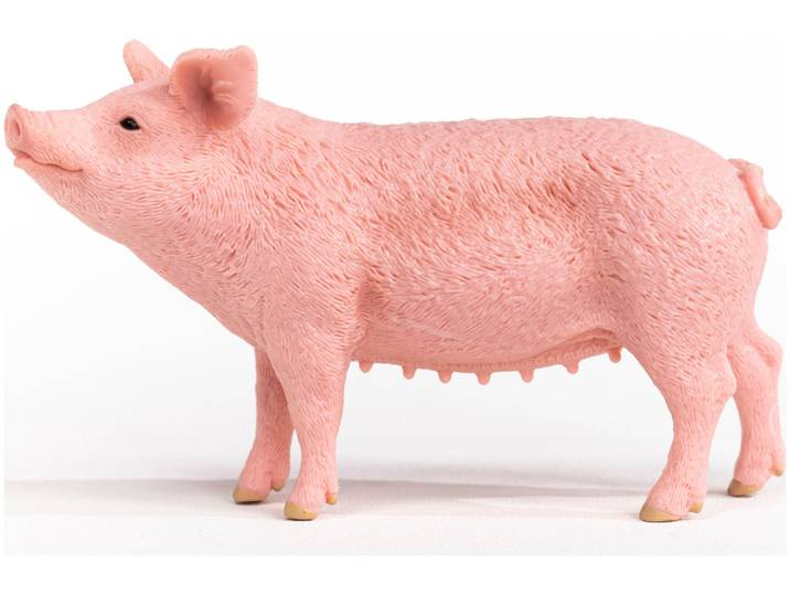 schleich Farm World 13933 Schwein