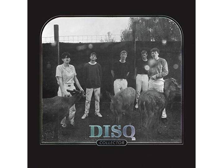 Disq - Collector