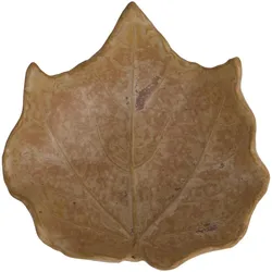 IB Laursen Steingut-Schale laubblattförmig Braun, Bräunlich - 11,7 x 11 x 3,5 cm
