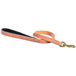 Bobby hundeleine 3 positionen walk (Hund), Halsband + Leine