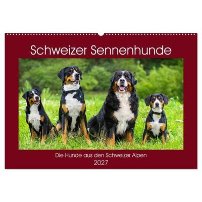 Schweizer Sennenhunde - die Hunde aus den Schweizer Alpen (Wandkalender 2027 DIN A2 quer), CALVENDO Monatskalender