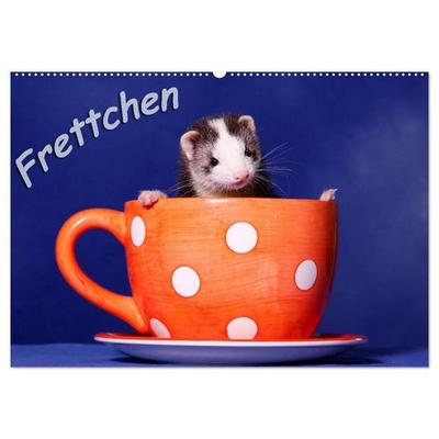 Frettchen - Ferrets (Wandkalender 2027 DIN A2 quer), CALVENDO Monatskalender