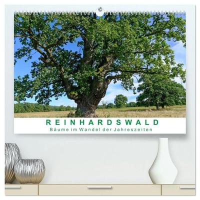 Reinhardswald Bäume im Wandel der Jahreszeiten (hochwertiger Premium Wandkalender 2027 DIN A2 quer), Kunstdruck in Hochglanz