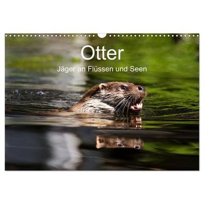 Otter - Jäger an Flüssen und Seen (Wandkalender 2026 DIN A3 quer), CALVENDO Monatskalender
