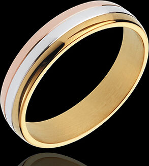 Edenly Ring Gravitation