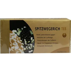 Spitzwegerichtee 25 ST