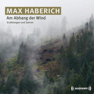 Am Abhang der Wind - Max Haberich, Audio, 9783903178427