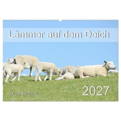 Lämmer auf dem Deich (Wandkalender 2027 DIN A2 quer), CALVENDO Monatskalender