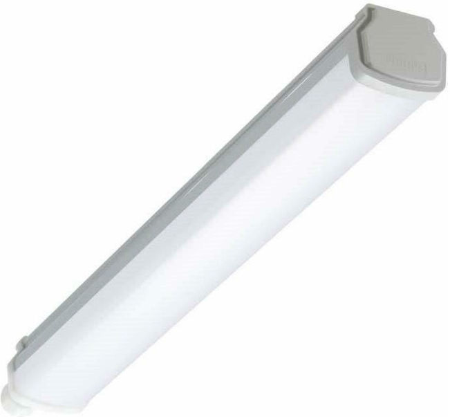Philips Lighting Luminaire LED pour local humide 4000K WT060C LED#36007299 (36007299)