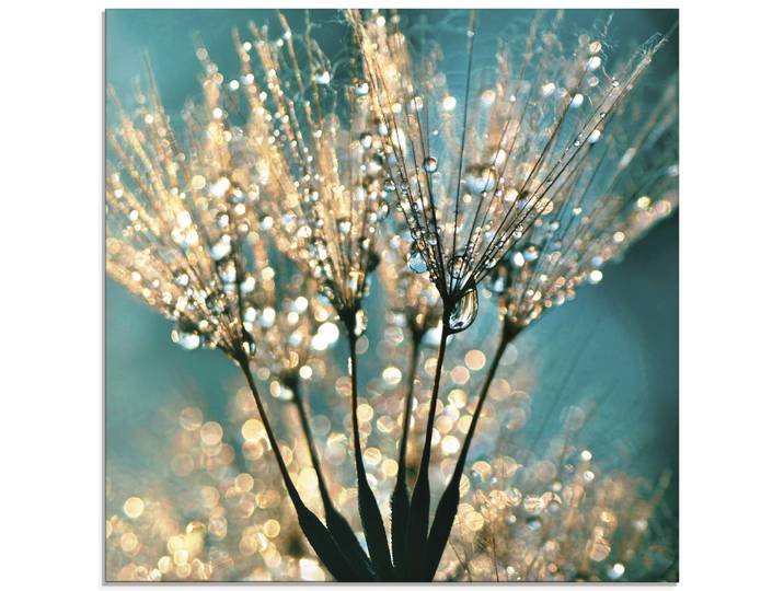 Glasbild ARTLAND Pusteblume Schirmchen abstrakt , blau (farbe bild(er): blau), B:40cm H:40cm, Bilder, Glasbild, in verschiedenen Grössen