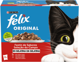 Felix Festa de Sabores em Gelatina 6 uds x 12 uds