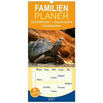 Familienplaner 2027 - Schildkröten - Gepanzerte Urzeitwesen mit 5 Spalten (Wandkalender, 21 x 45 cm) CALVENDO