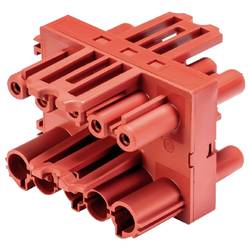 Wieland Electric 92.050.7053.5 Verteiler