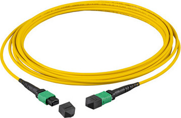EFB Elektronik MTPF48MTPFOS2-5-A, 5 m, OS2, MTP, MTP
