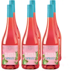 Gerstacker Wassermelone Sprizz 5,0 % vol 6 x 0,75 Liter