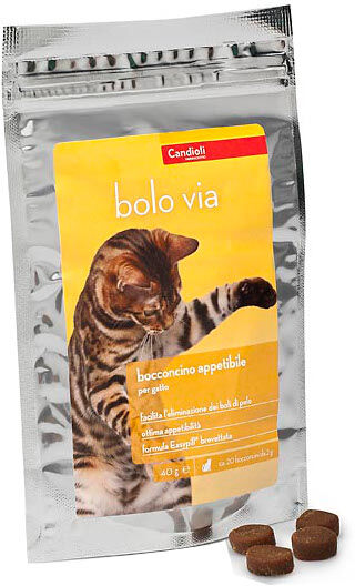 Candioli Bolo Via Busta 40g