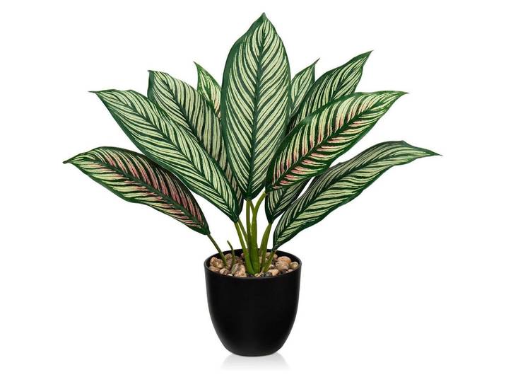 Kunstpflanze Calathea Grün-Rot 33cm, Mehrfarbig, Kunststoff, 36 cm, Dekoration, Blumen & Blumentöpfe, Kunstpflanzen
