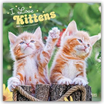 I Love Kittens – Ich liebe Katzenbabys 2027 – 16-Monatskalender