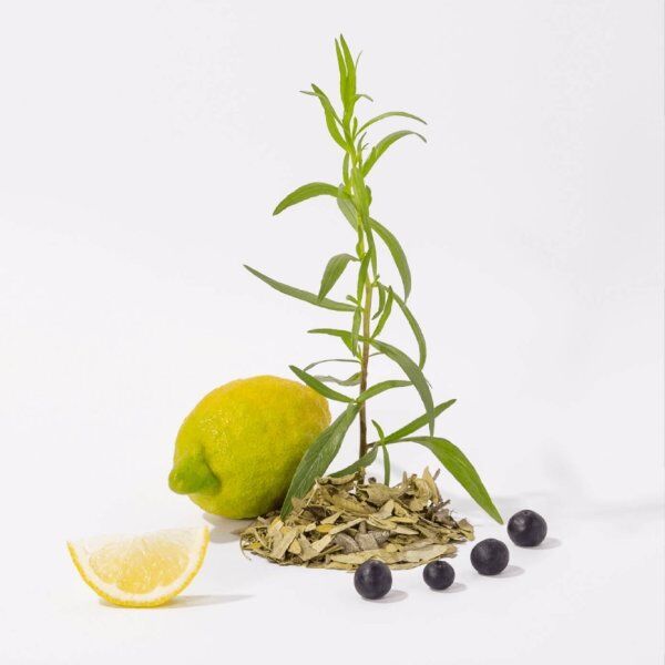 Compagnie De Provence Sæbe 300 Ml, Hvid Te