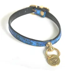 Martin Sellier Granite (Hund), Halsband + Leine