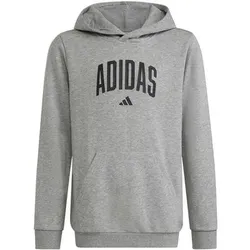 ADIDAS Kinder Kapuzensweat CODES COLLEGIATE GRAFIK, Größe 152 in Grau Grau