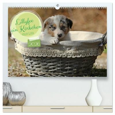 Lillyfee und ein Körbchen voller Glück (hochwertiger Premium Wandkalender 2026 DIN A2 quer), Kunstdruck in Hochglanz