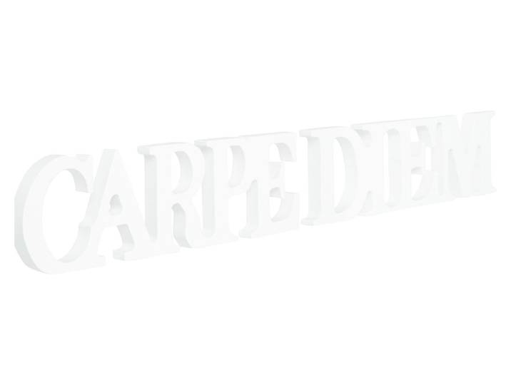 Schriftzug magnetis. Carpe Diem white