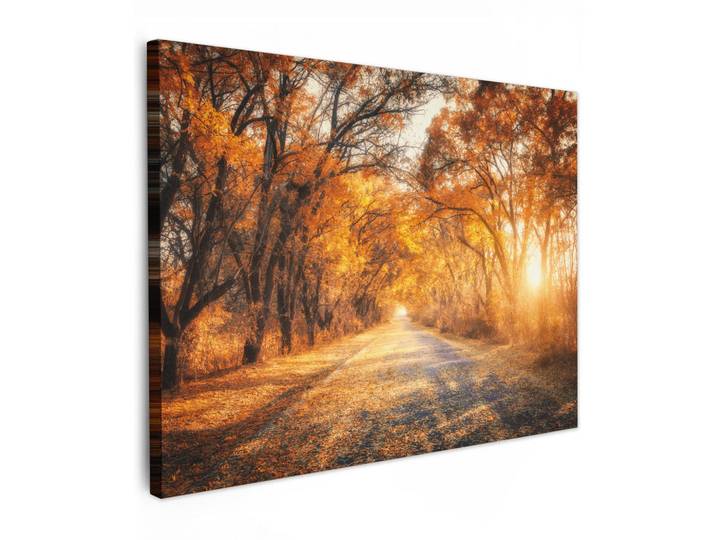 MuchoWow Leinwandbild - Wald - Herbst - Bäume - Waldweg - Natur - 80x60 - Malerei, Bernsteinfarben, Textil, Kiefer, Abstrakt, Rechteckig, 80x60 cm, gerahmt, Bilder & Rahmen, Bilder, Wandbilder