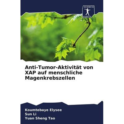 Anti-Tumor-Aktivität von XAP auf menschliche Magenkrebszellen, Taschenbuch von Koumtebaye Elysee,Sun Li,Yuan Sheng Tao, Sciencia Scripts,