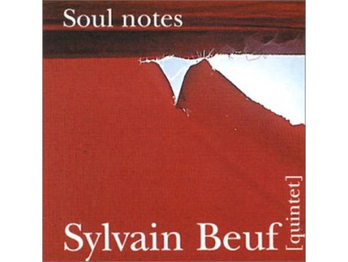 Soul Notes