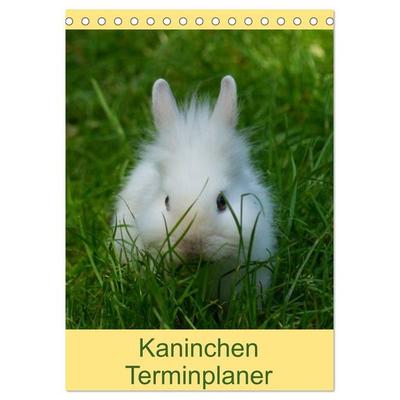 Kaninchen Terminplaner (Tischkalender 2027 DIN A5 hoch), CALVENDO Monatskalender