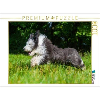CALVENDO Puzzle Bearded Collie Junghund | 1000 Teile Lege-Größe 64x48cm Foto-Puzzle für glückliche Stunden