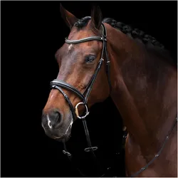 HV Polo, Zaumzeug