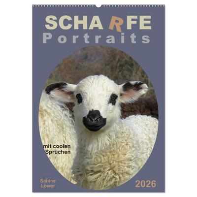 Scharfe Portraits (Wandkalender 2026 DIN A2 hoch), CALVENDO Monatskalender