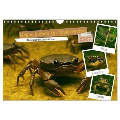 Reges Leben im Naturweiher - Tiere über und unter Wasser (Wandkalender 2027 DIN A4 quer), CALVENDO Monatskalender
