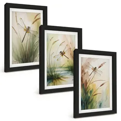 BILDER SET 3er Set - 20x30 cm Schwarzer Rahmen - Libellen im Gras, Wassermalerei