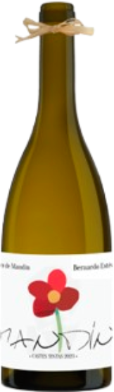 Bernardo Estevéz Bernardo Estévez y Xico Mandín 2023 - 75cl