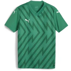 PUMA teamGLORY Trikot Kinder 05 - sport green/puma white/power green 152
