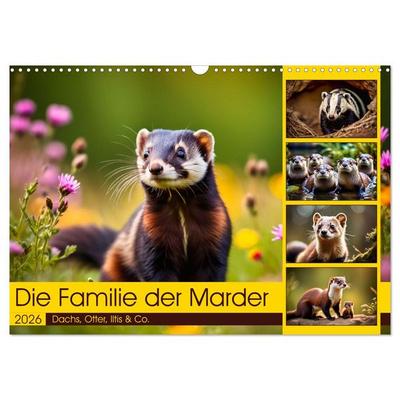 Die Familie der Marder (Wandkalender 2026 DIN A3 quer), CALVENDO Monatskalender