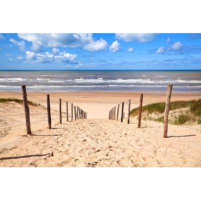 Fototapete PAPERMOON "Weg zum Sandstrand", bunt, B:4m L:2,6m, Vlies, Tapeten