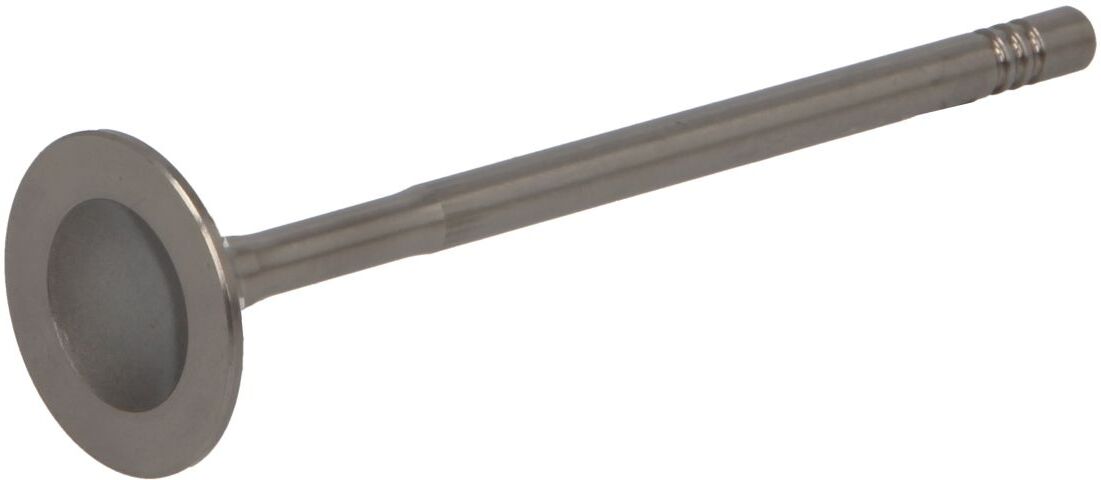 Einlassventil PARADOWSCY PREN104