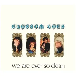Tonpool, Schallplatten, We Are Ever So Clean-Remastered Vinyl Edition (Blossom Toes)