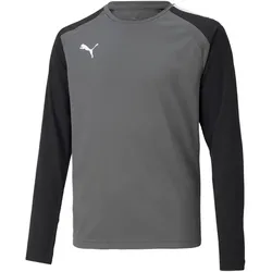 PUMA teamPACER langarm Torwarttrikot Kinder smoked pearl/pumablack/white 128