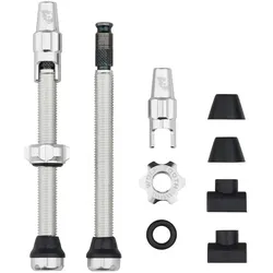 Wolf Tooth Tubeless Valve Stem Ventile, Clik Valve, 60mm, 2 Stk., raw silver